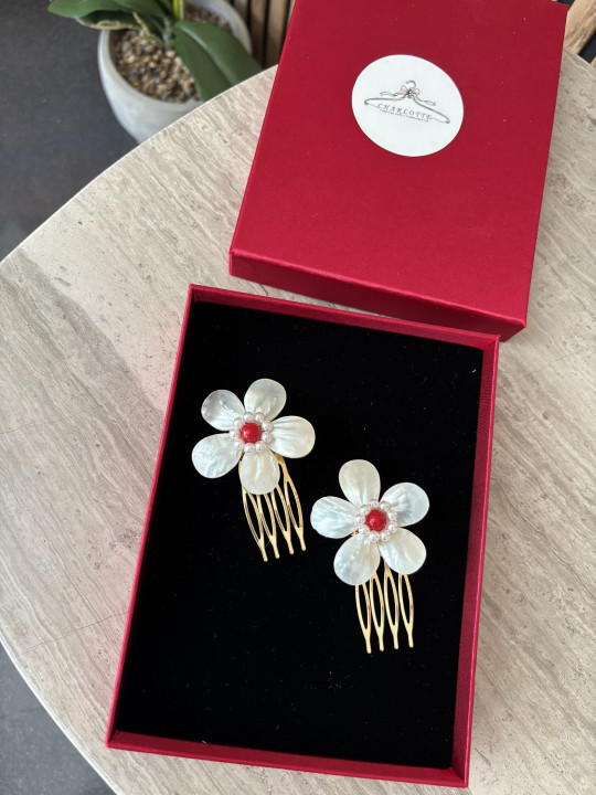 PEINECILLOS PACK 2