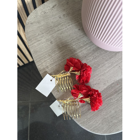 PEINECILLO CLAVEL / ud