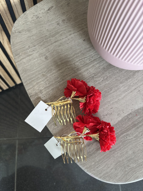 PEINECILLO CLAVEL / ud